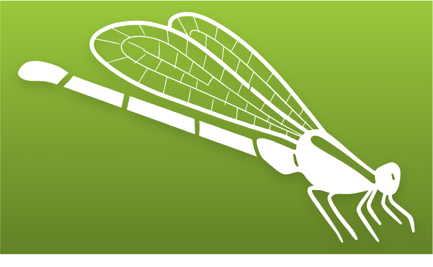 Dragonflies